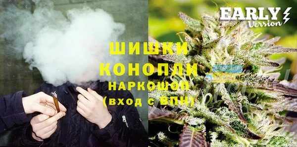 бошки Пересвет