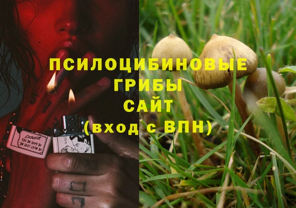 гашик Бугульма